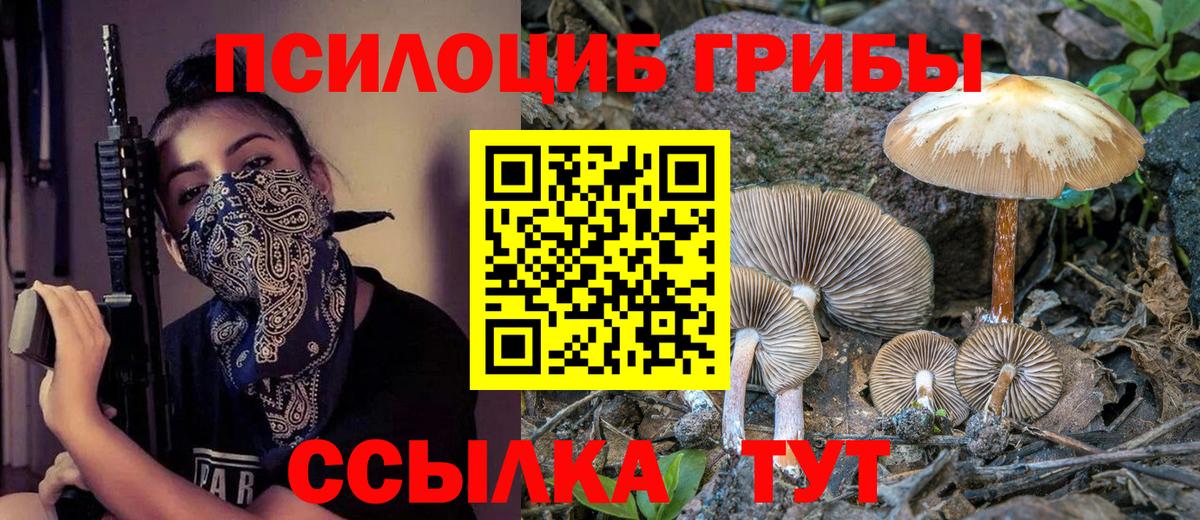 Псилоцибиновые грибы Psilocybe  Псилоцибиновые грибы Psilocybe  Кумертау  Вход с VPN 